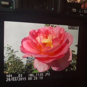 Meet your Posher, Ji